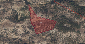 adsız 3