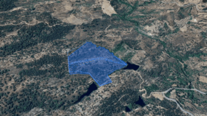 elderesi 119 5 117 3 3
