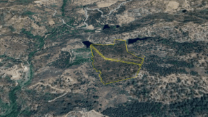 elderesi 119 5 117 3 4